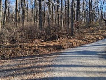 REID DRIVE , FRONT ROYAL, VA 22630