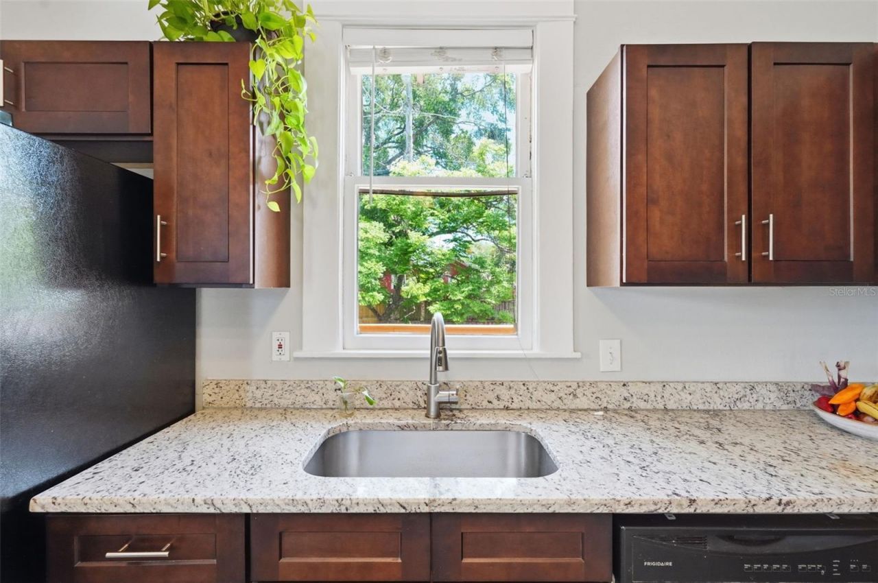 3907 N Tampa Street, Tampa, FL 33603 Photo