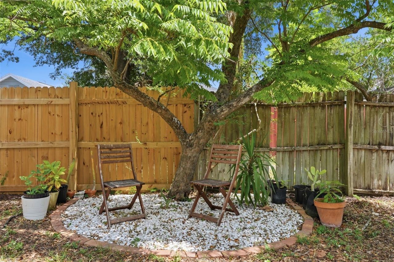 3907 N Tampa Street, Tampa, FL 33603 Photo