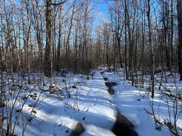 TBD County Rd 4, Barnum, MN 55707