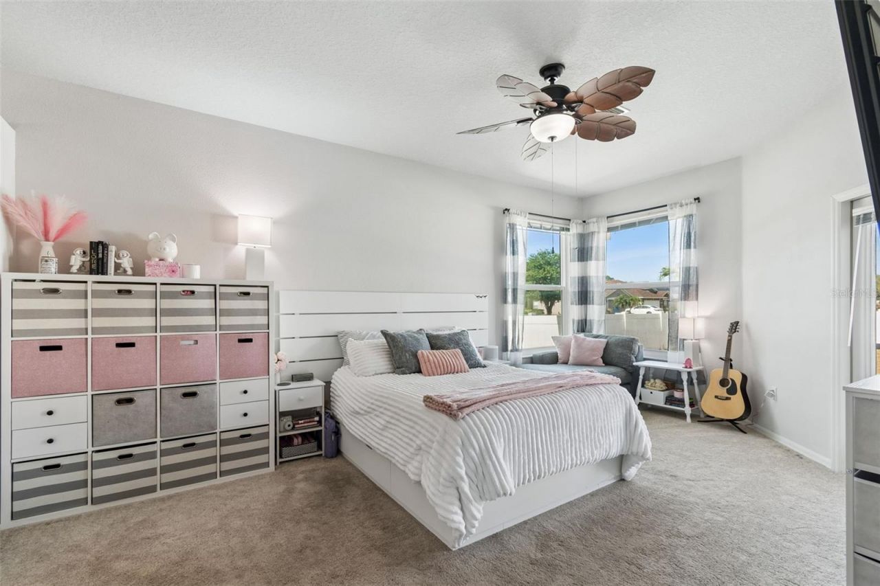 4203 Anaconda Drive, New Port Richey, FL 34655 Photo