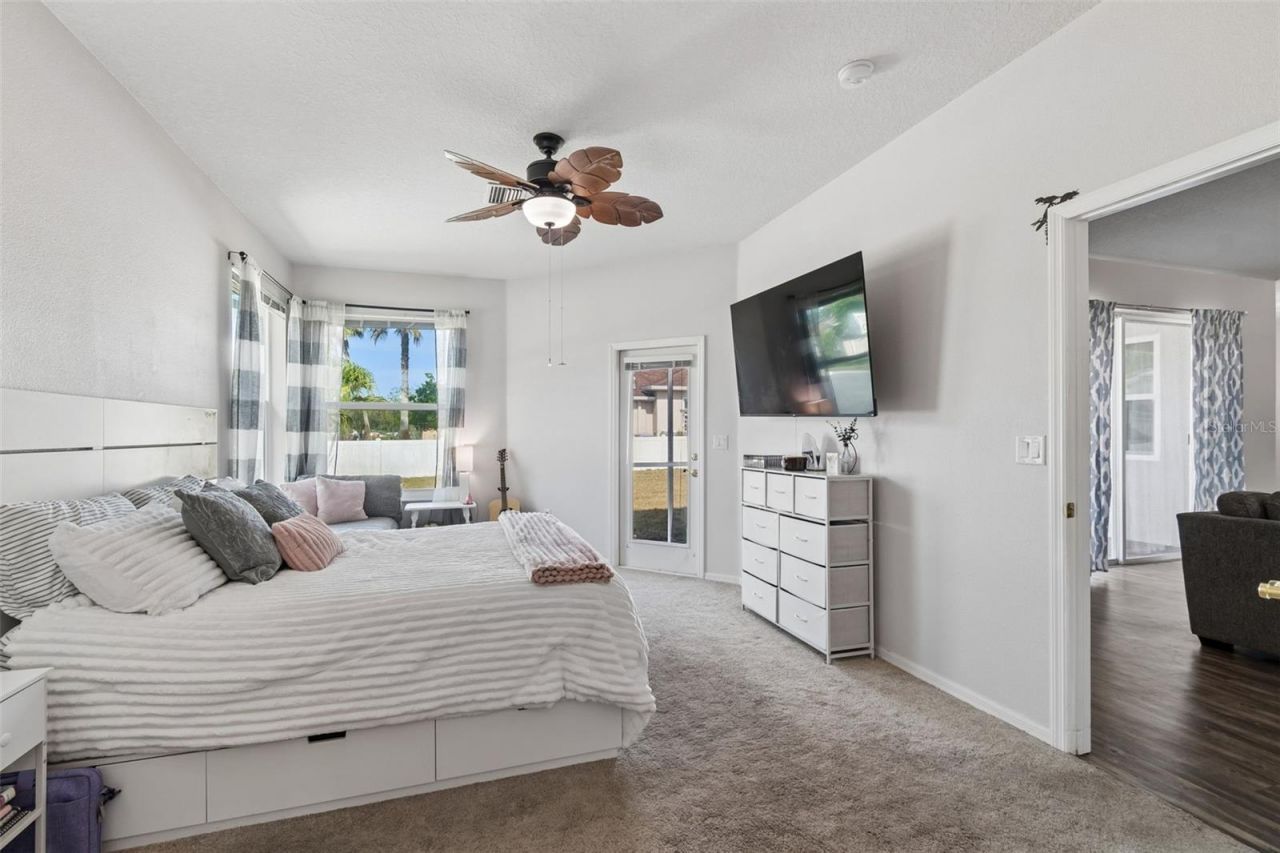 4203 Anaconda Drive, New Port Richey, FL 34655 Photo