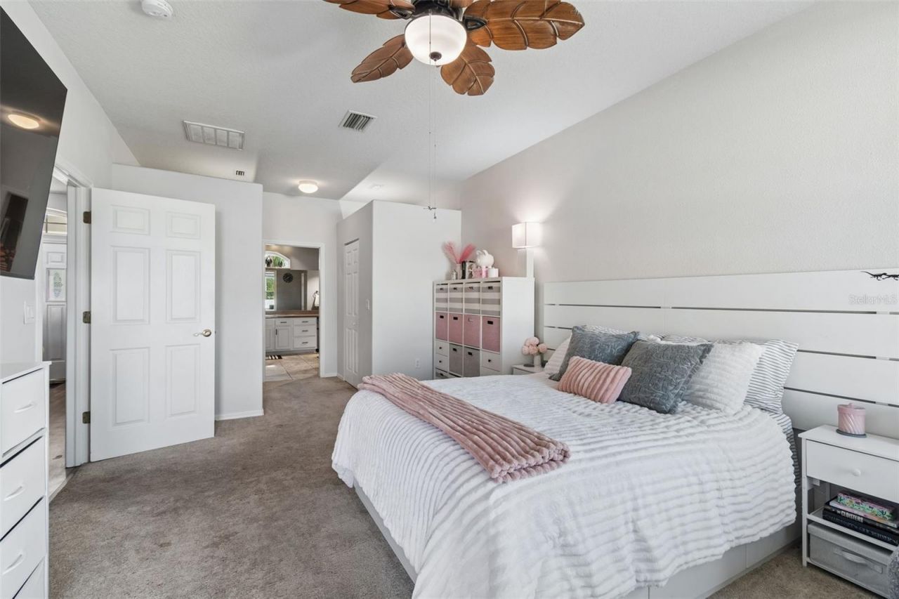 4203 Anaconda Drive, New Port Richey, FL 34655 Photo