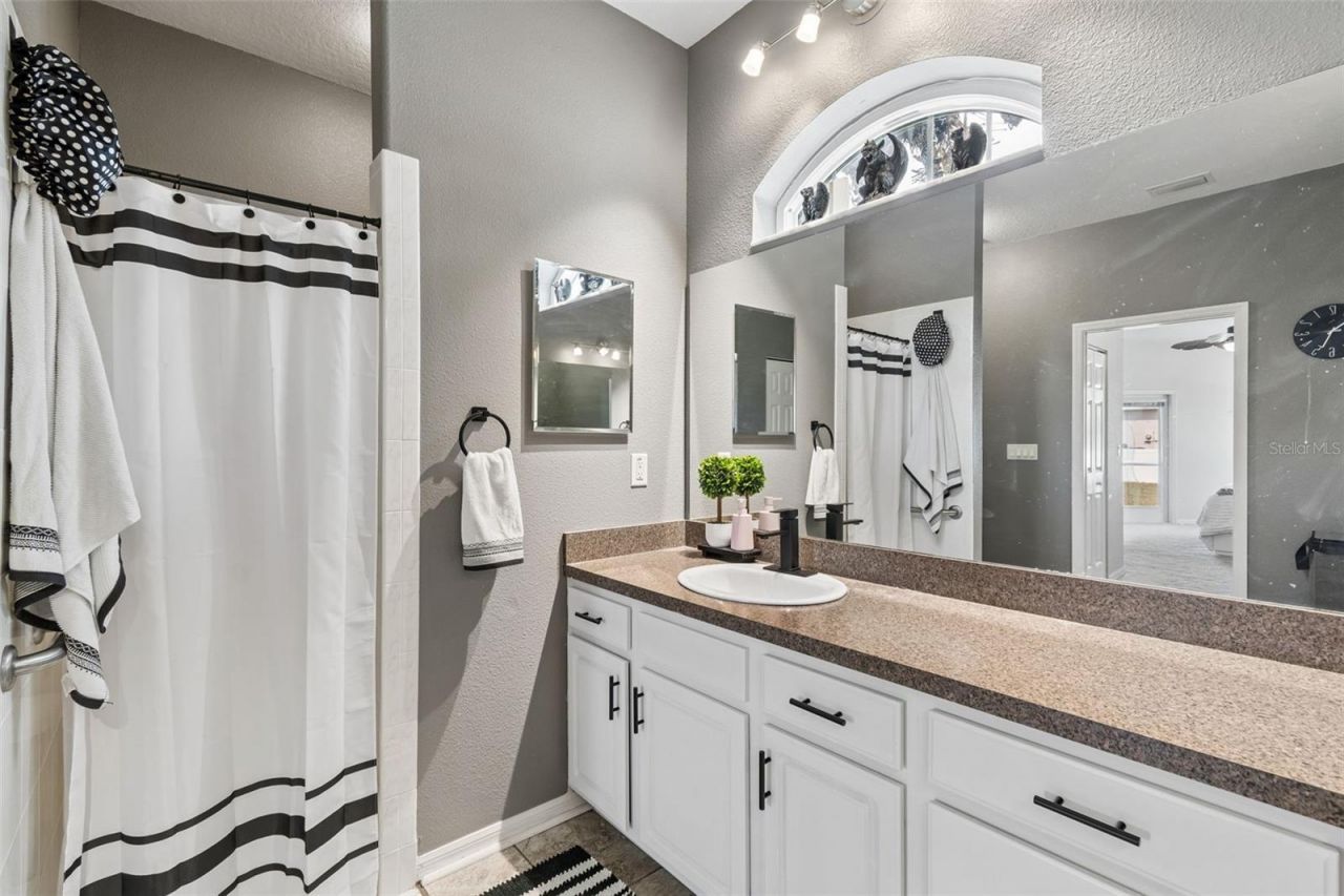 4203 Anaconda Drive, New Port Richey, FL 34655 Photo