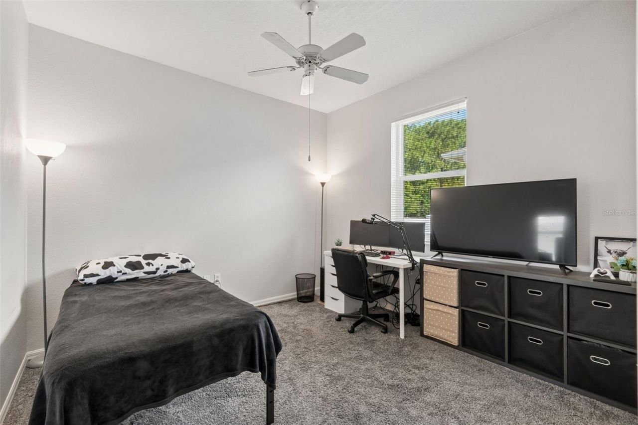4203 Anaconda Drive, New Port Richey, FL 34655 Photo