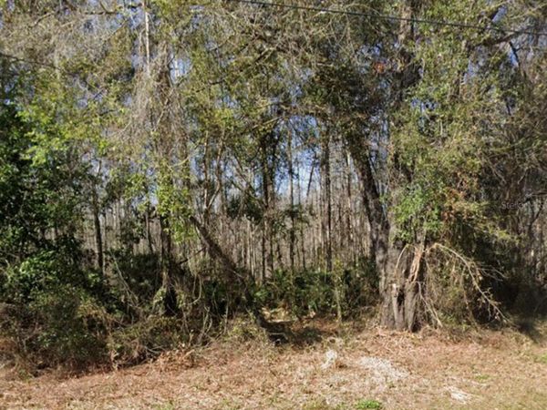 KEY LIME , NEW PORT RICHEY, FL 34654