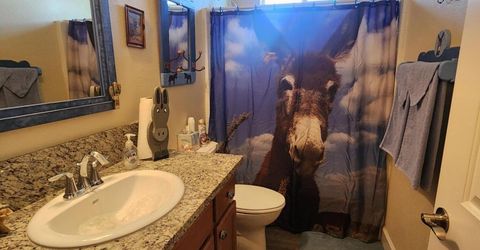135 Cambridge Drive, Dayton, NV 89403 Photo