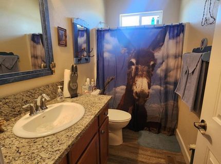 135 Cambridge Drive, Dayton, NV 89403 Photo
