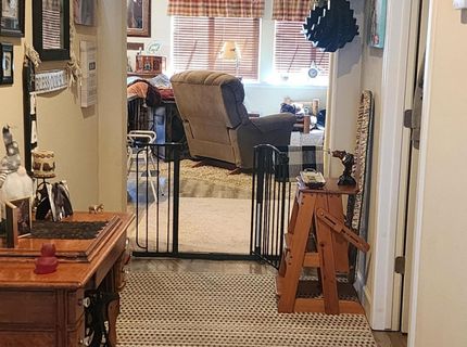 135 Cambridge Drive, Dayton, NV 89403 Photo