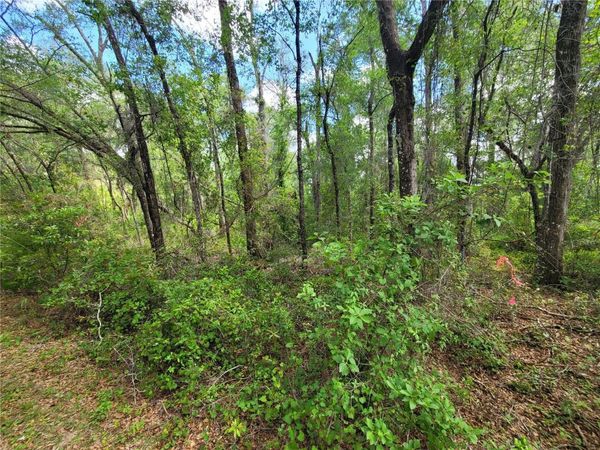 910 FERNCREEK AVENUE , INVERNESS, FL 34453