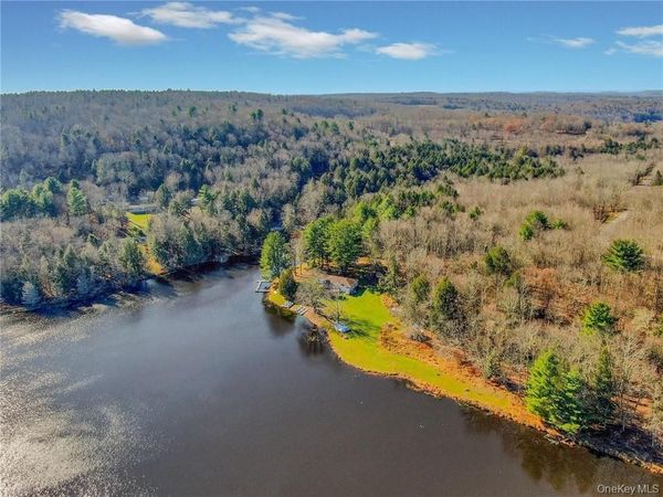 122 Jaketown Road , Swan Lake, NY 12783