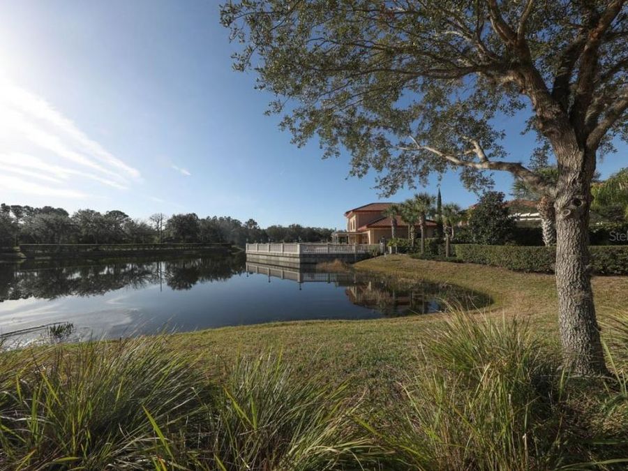 Property Image 56