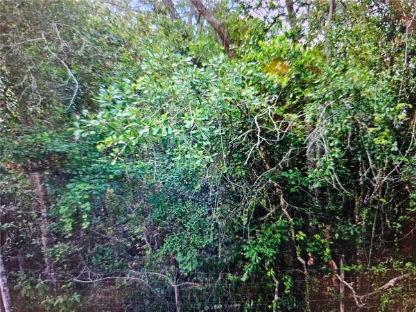 0 LISBON STREET , NEW PORT RICHEY, FL 34654