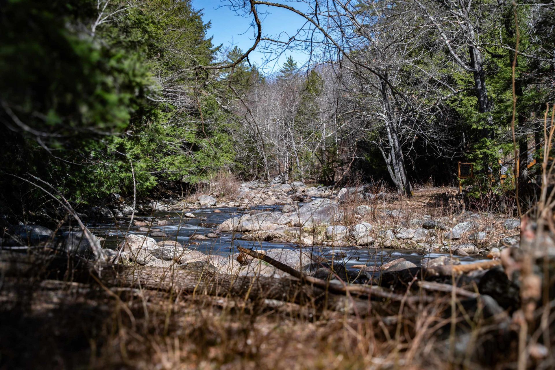 Lot 1 N Dorchester Road, Wentworth, NH 03282 Main Photo