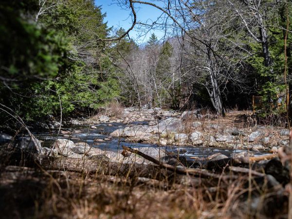 Lot 1 N Dorchester Road, Wentworth, NH 03282