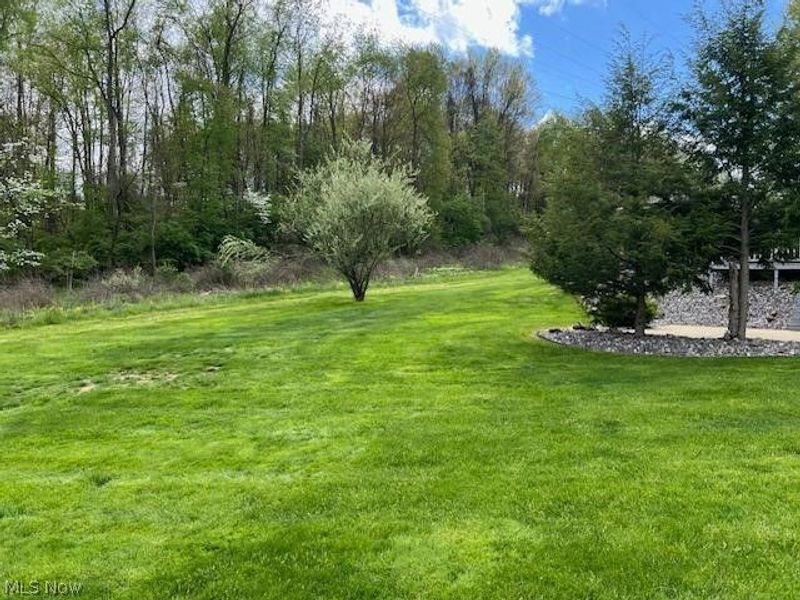 5342 Clingan Trails Boulevard, Struthers, OH 44471 Photo 5