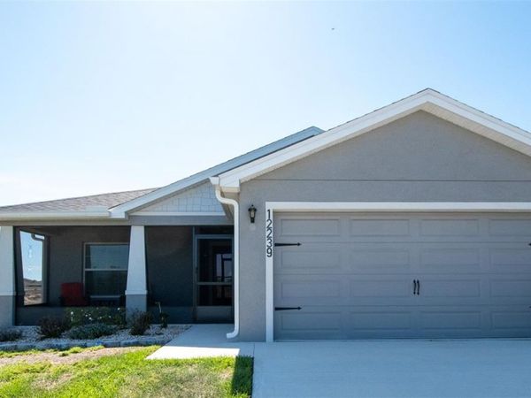 12239 CYPRESS BRANCH STREET , RIVERVIEW, FL 33579