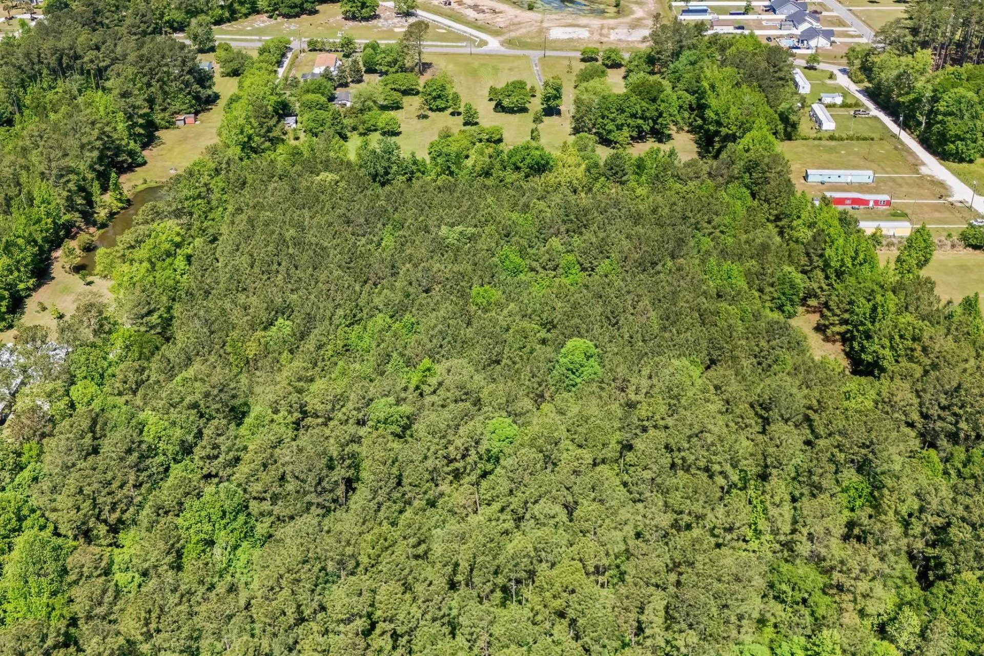 Tbd Rodney Rd.  Photo 10