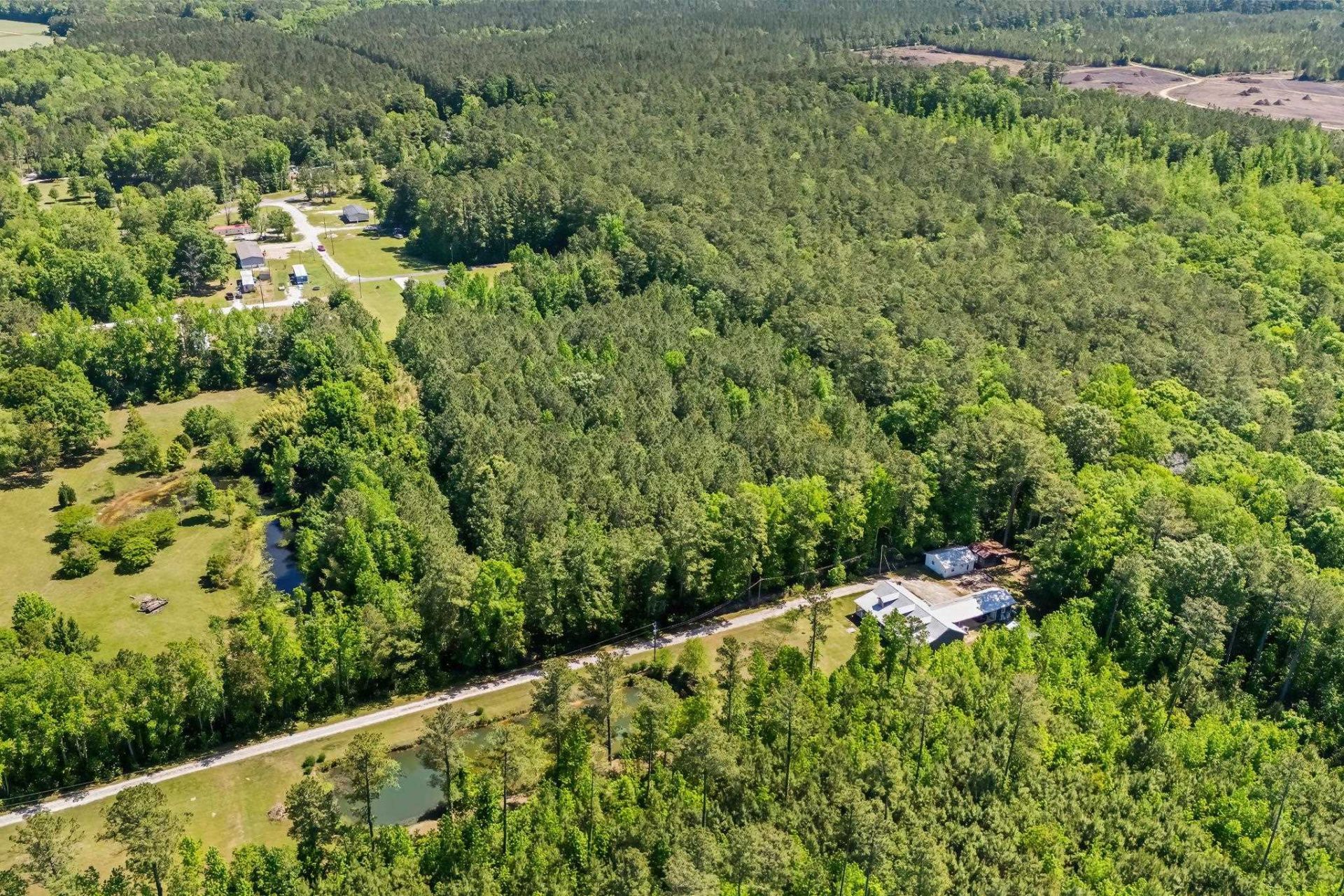 Tbd Rodney Rd.  Photo 19