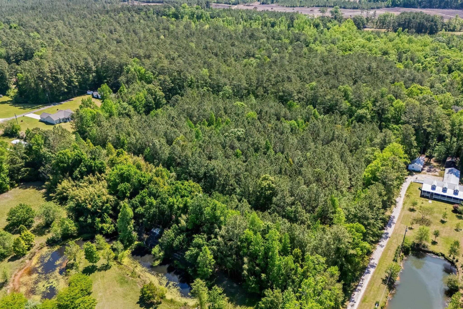 Tbd Rodney Rd.  Photo 6