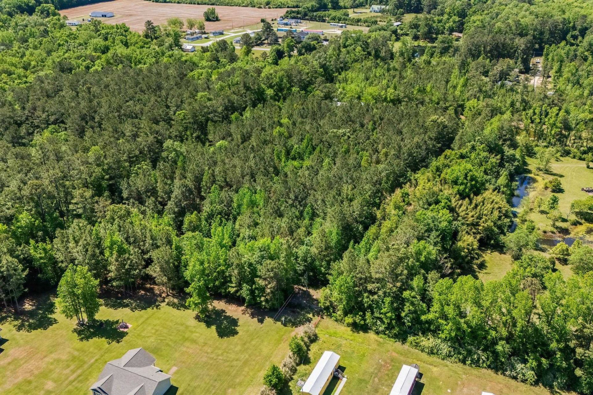 Tbd Rodney Rd.  Photo 8