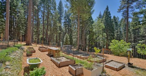 2320 Old Blair Mill Rd, Pollock Pines, CA 95726 Photo
