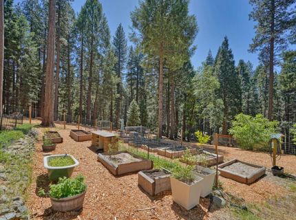 2320 Old Blair Mill Rd, Pollock Pines, CA 95726 Photo