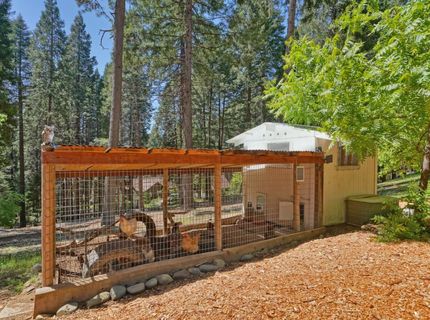2320 Old Blair Mill Rd, Pollock Pines, CA 95726 Photo