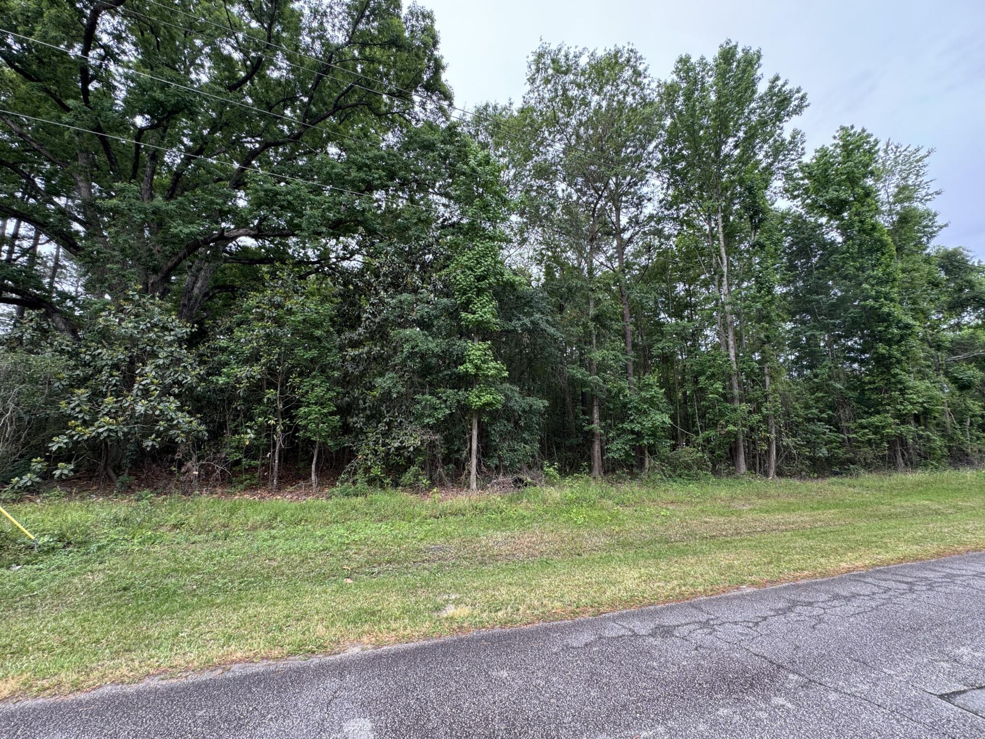 00 Ellis Avenue Photo 4