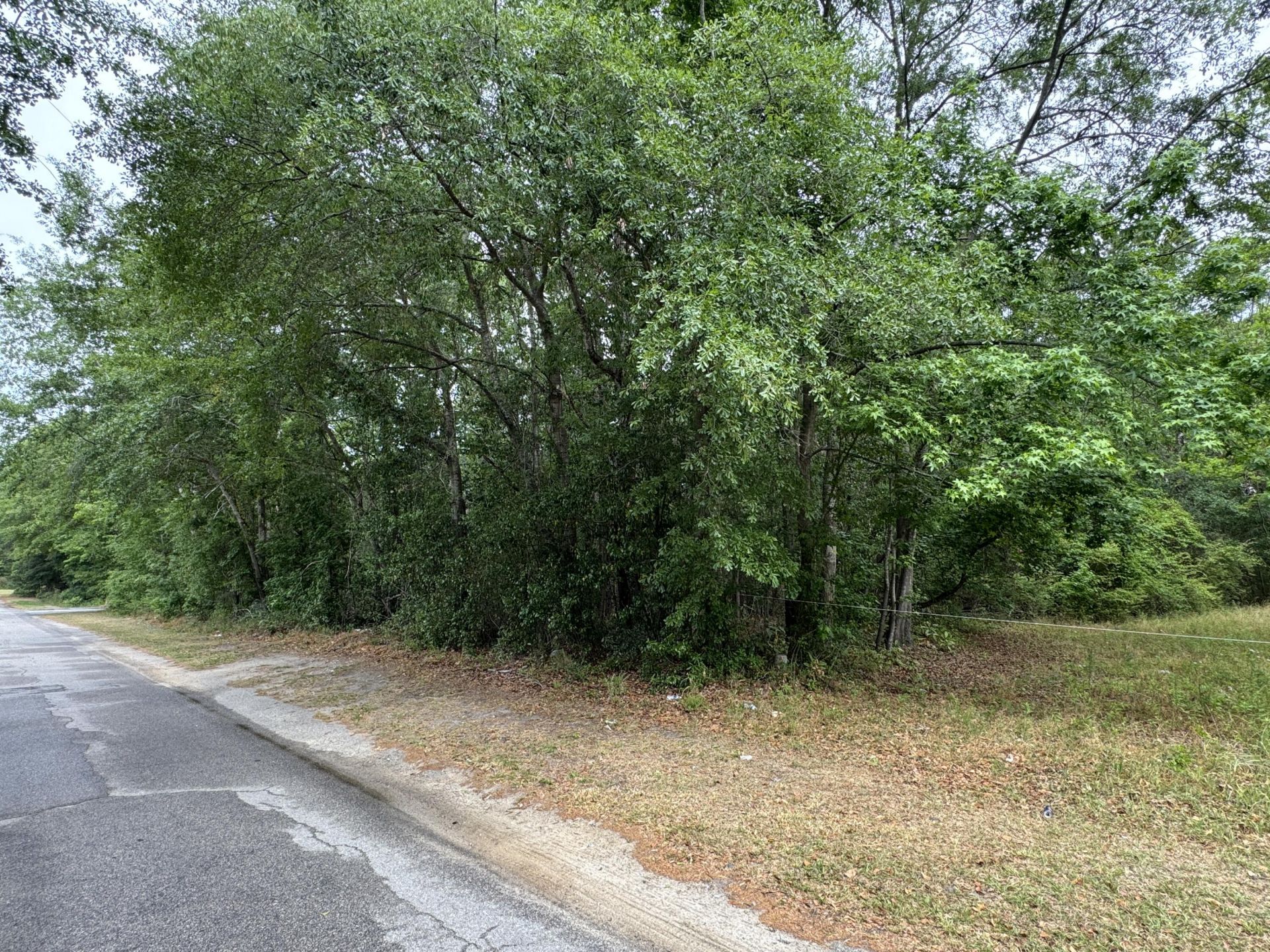 00 Ellis Avenue Photo 5