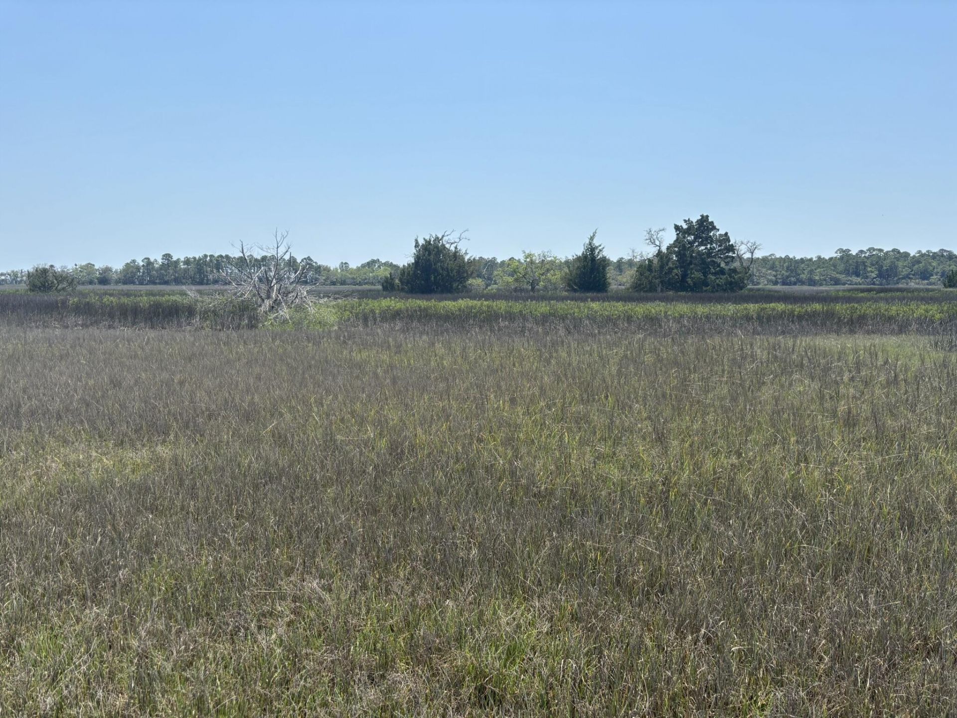2035 Sol Legare Road Photo 10