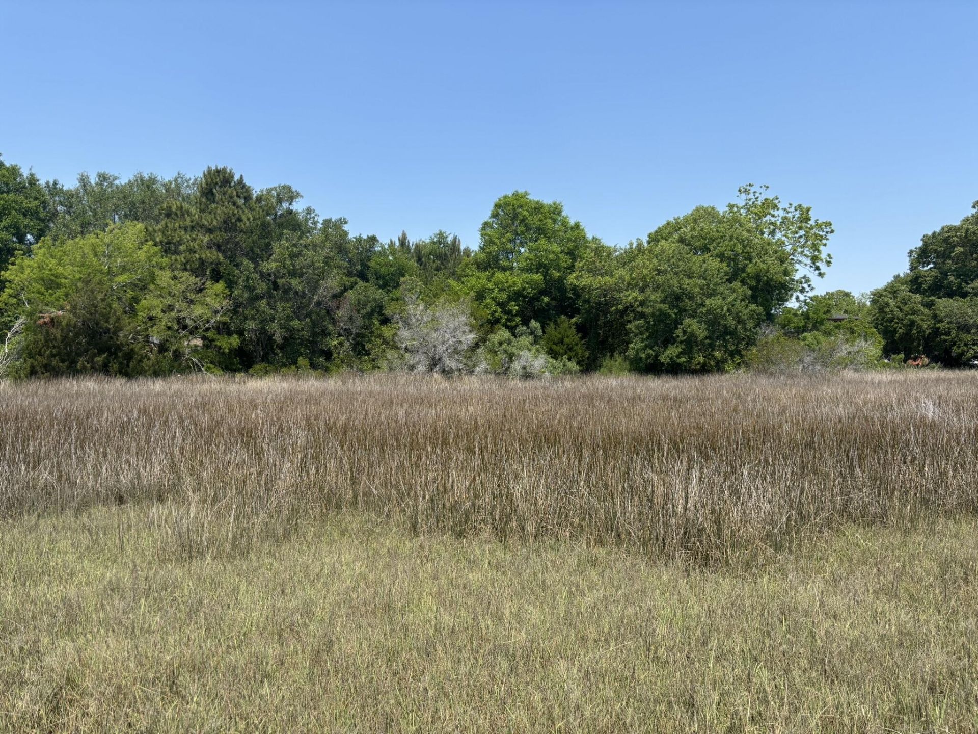 2035 Sol Legare Road Photo 11