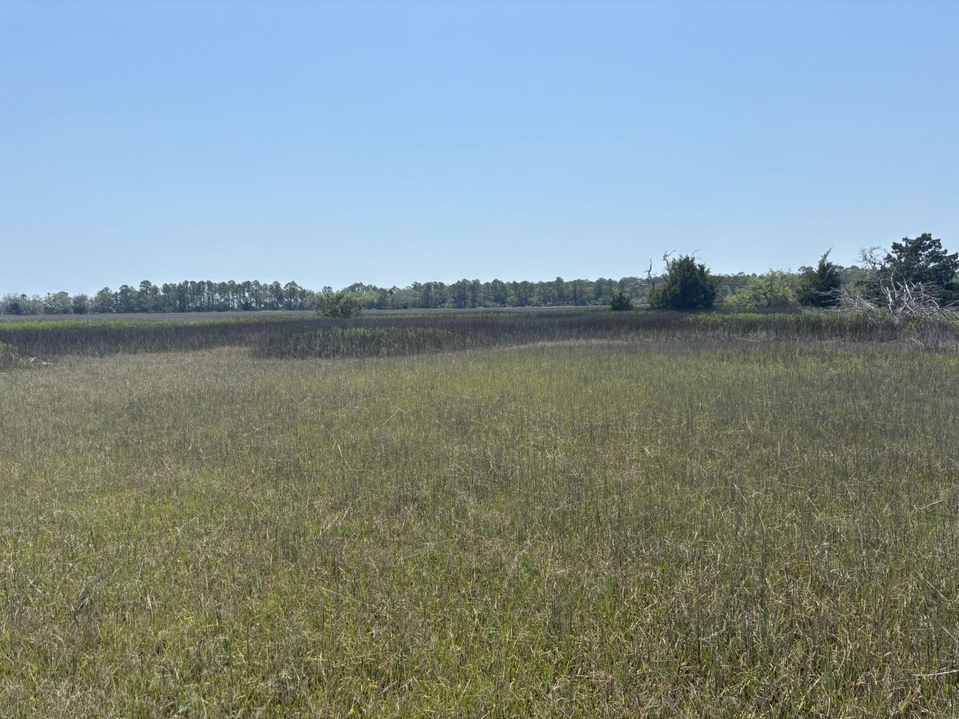 2035 Sol Legare Road Photo 12