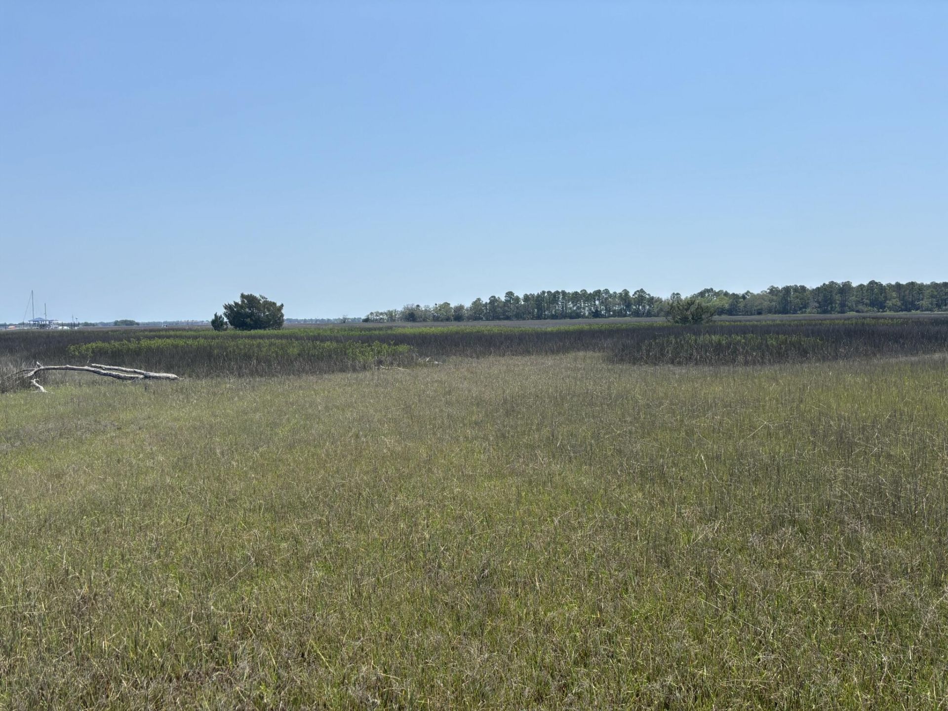 2035 Sol Legare Road Photo 13