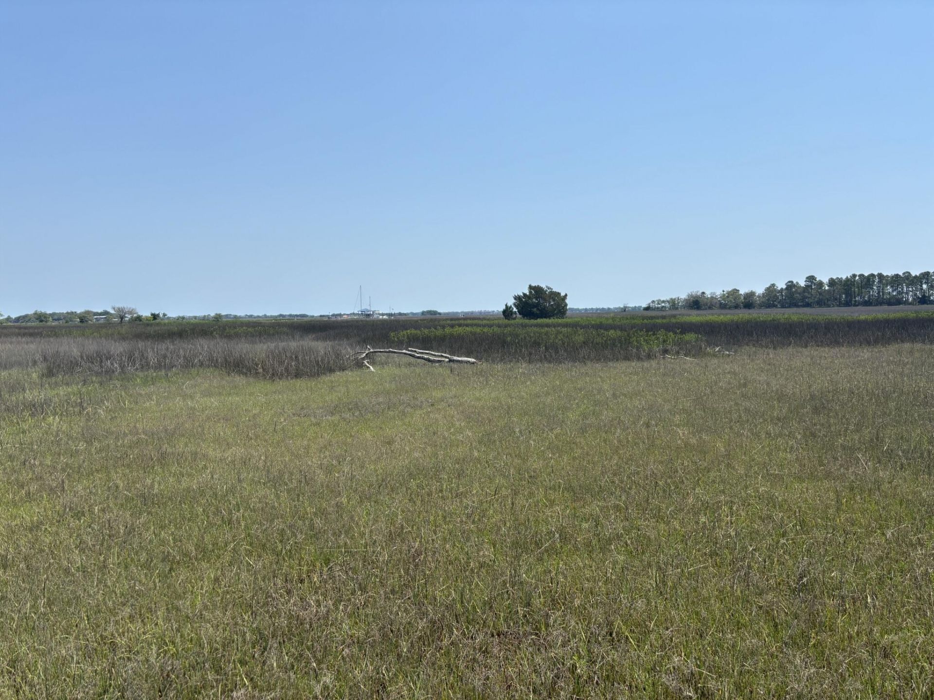 2035 Sol Legare Road Photo 14