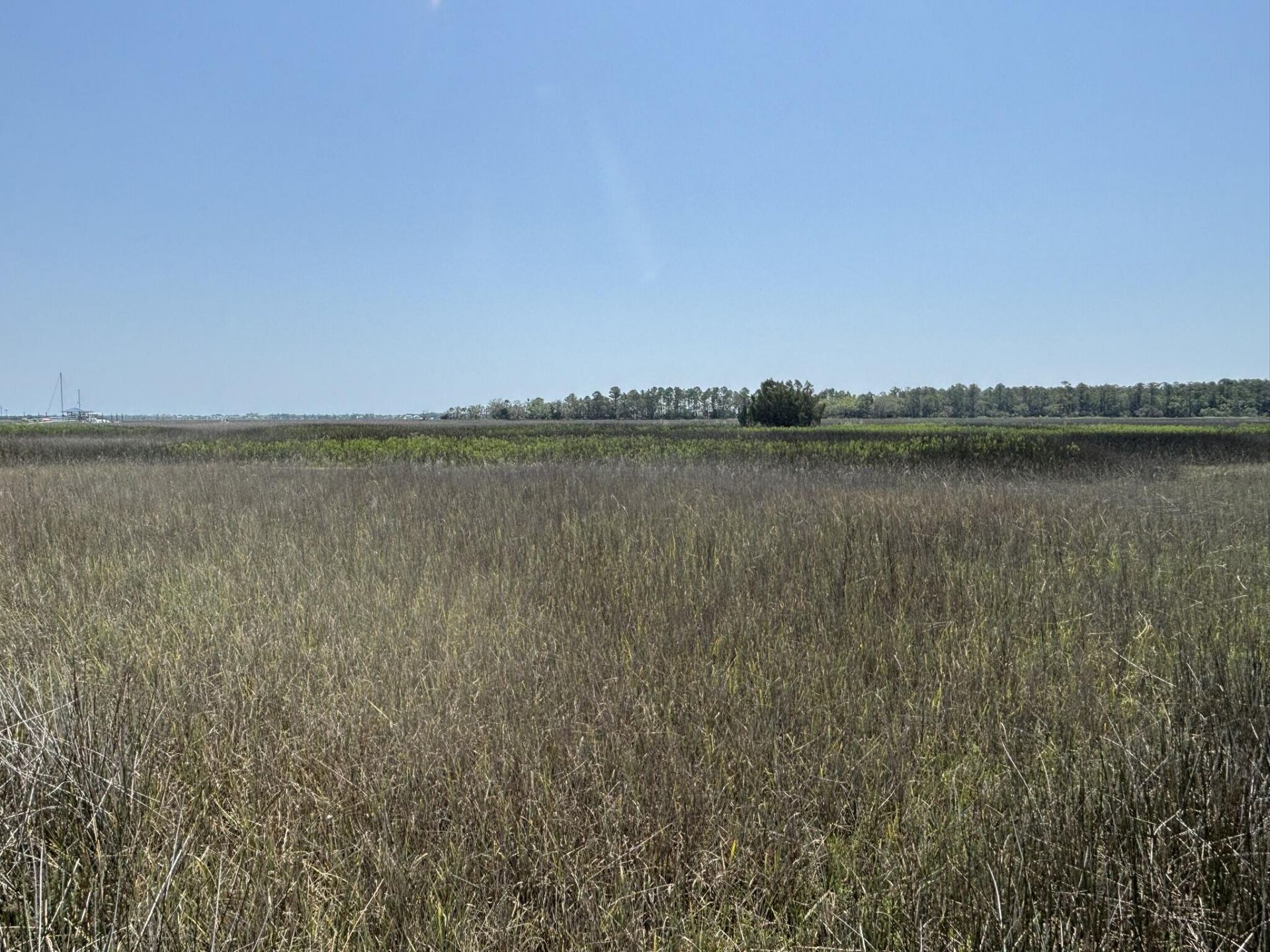 2035 Sol Legare Road Photo 15
