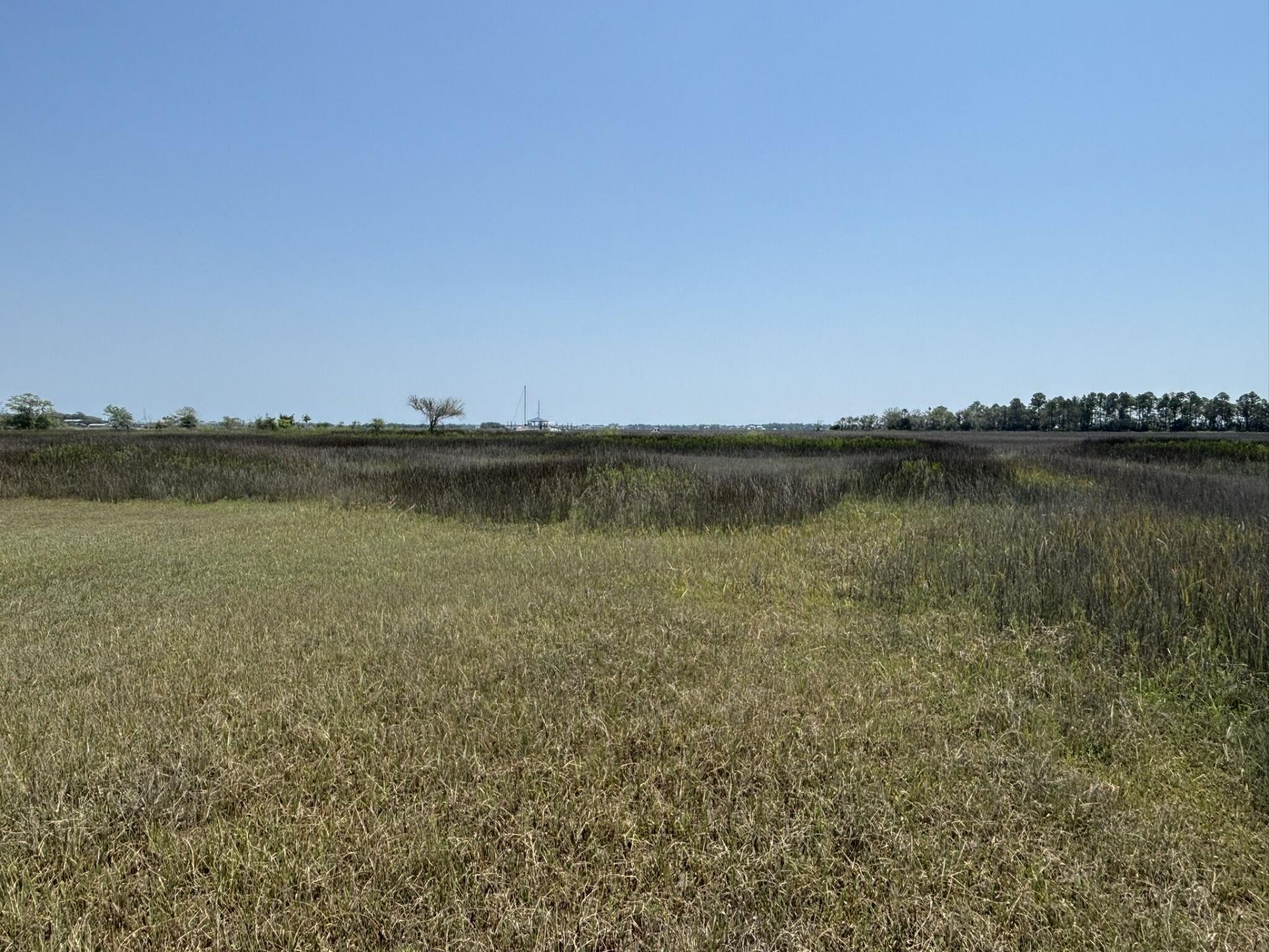 2035 Sol Legare Road Photo 18