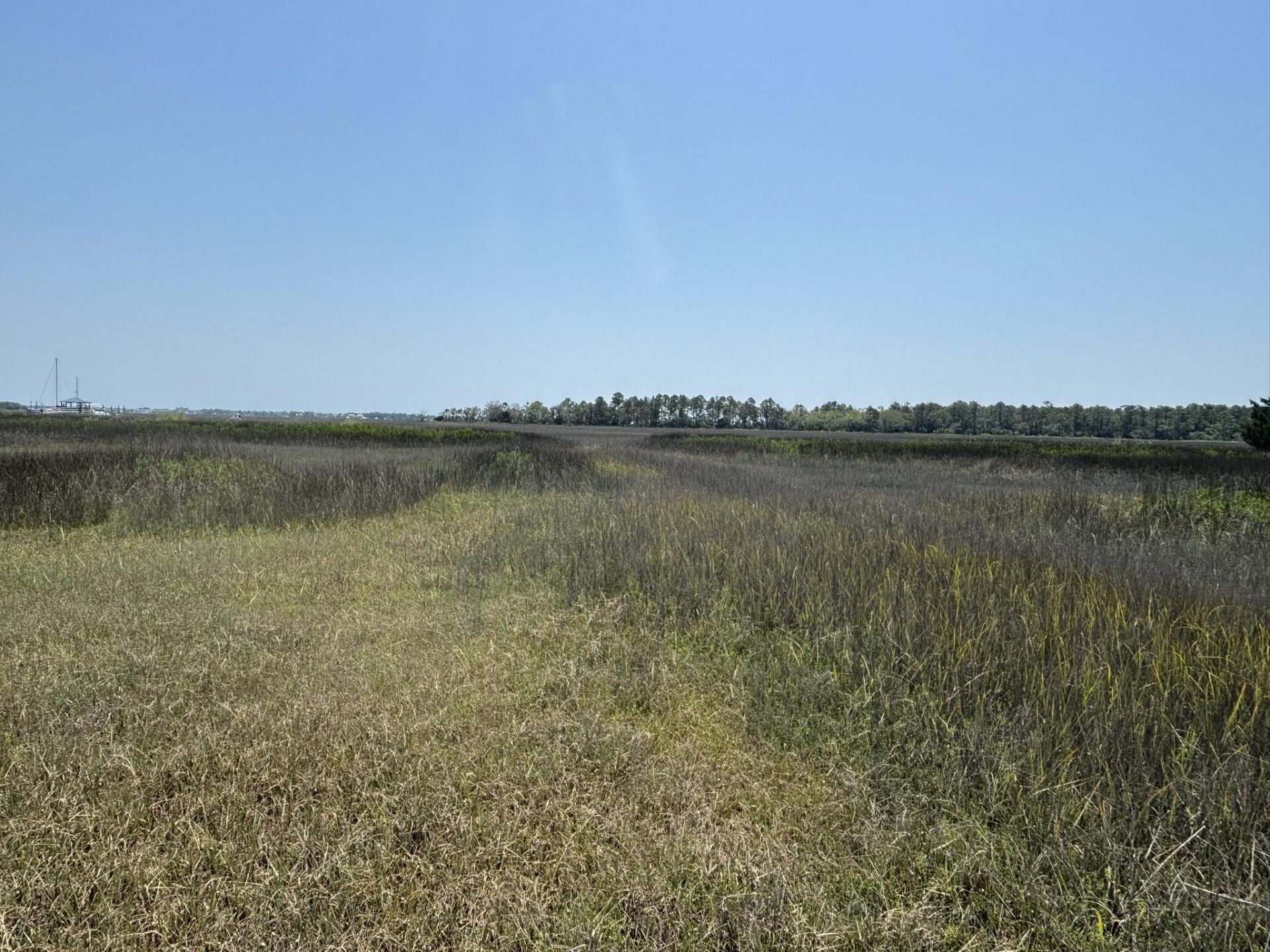 2035 Sol Legare Road Photo 19