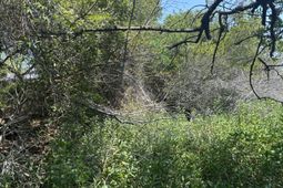 2035 Sol Legare Road photo 4
