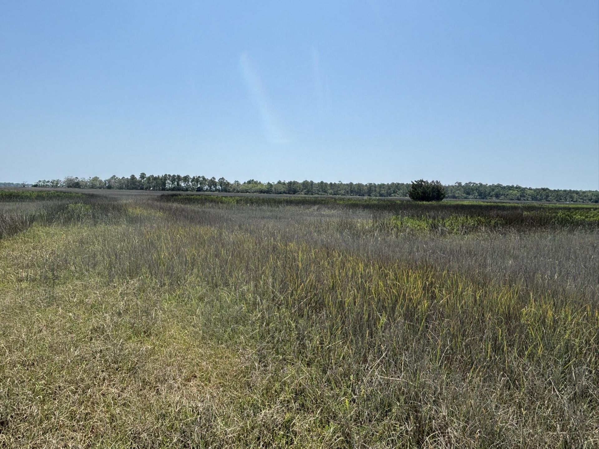 2035 Sol Legare Road Photo 20
