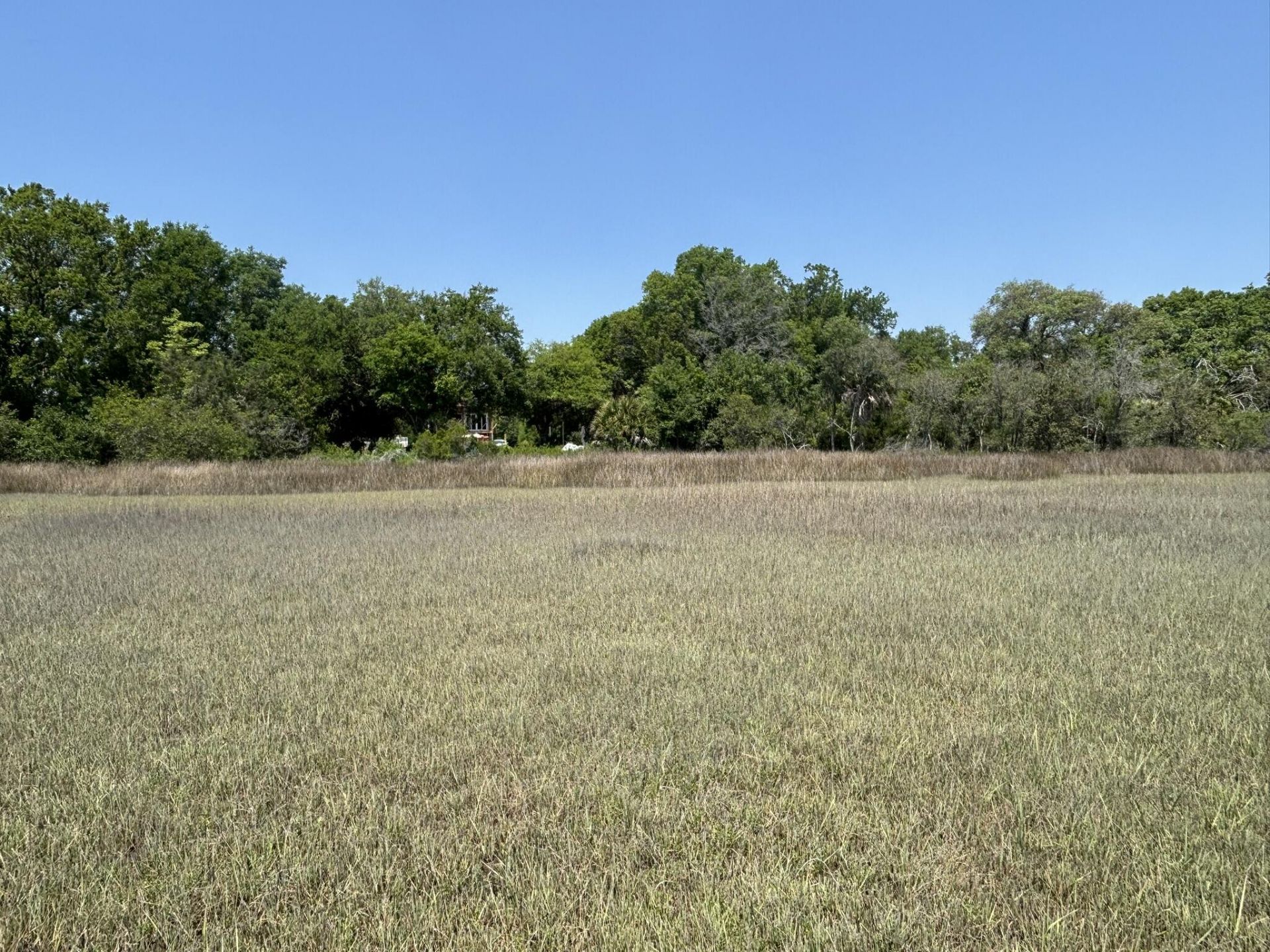 2035 Sol Legare Road Photo 22