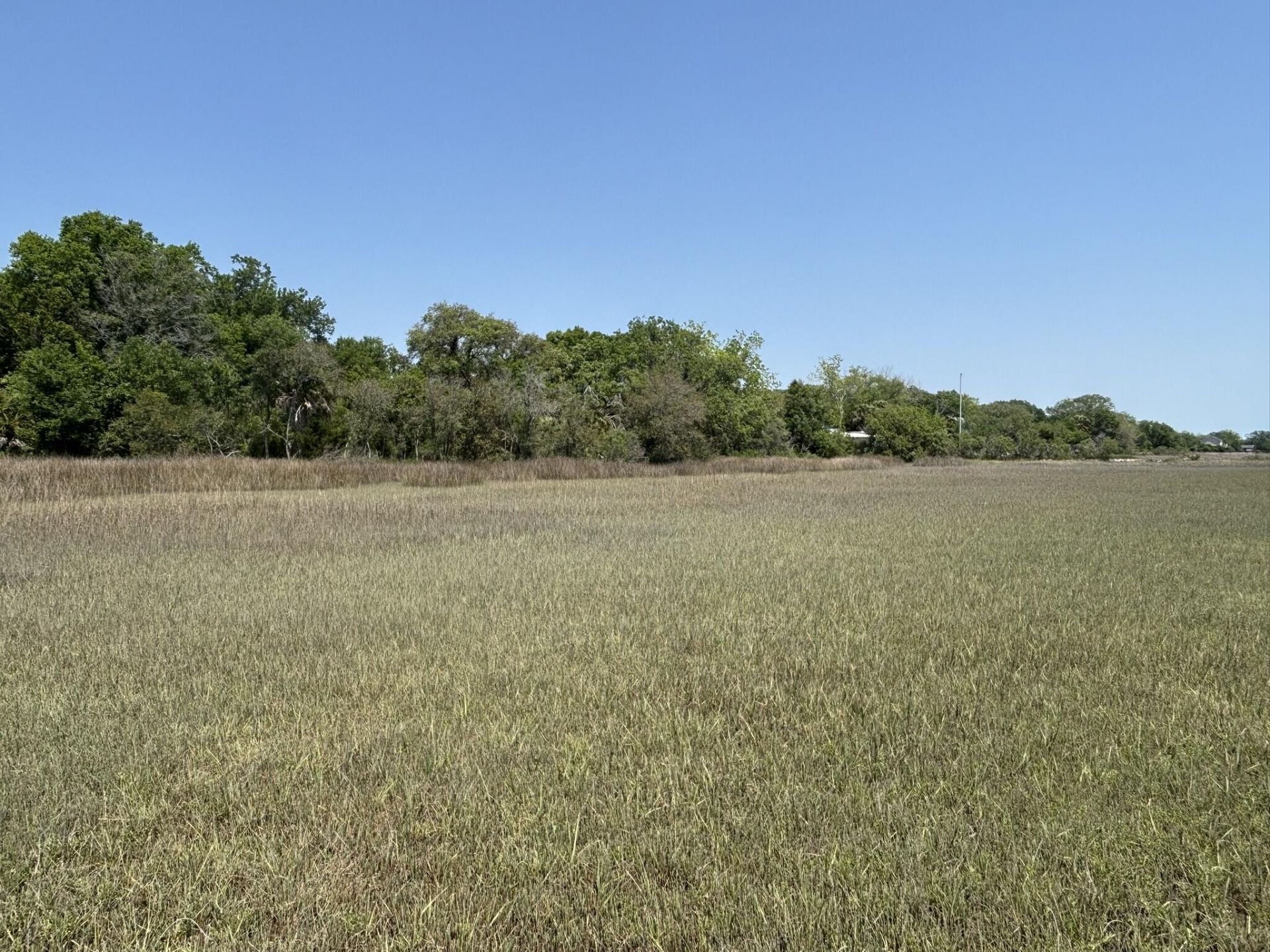 2035 Sol Legare Road Photo 23