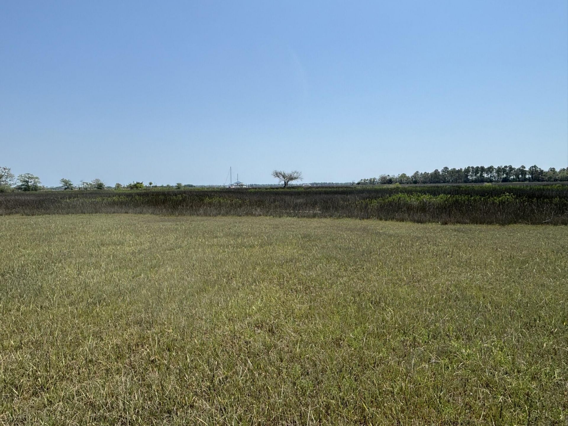 2035 Sol Legare Road Photo 24