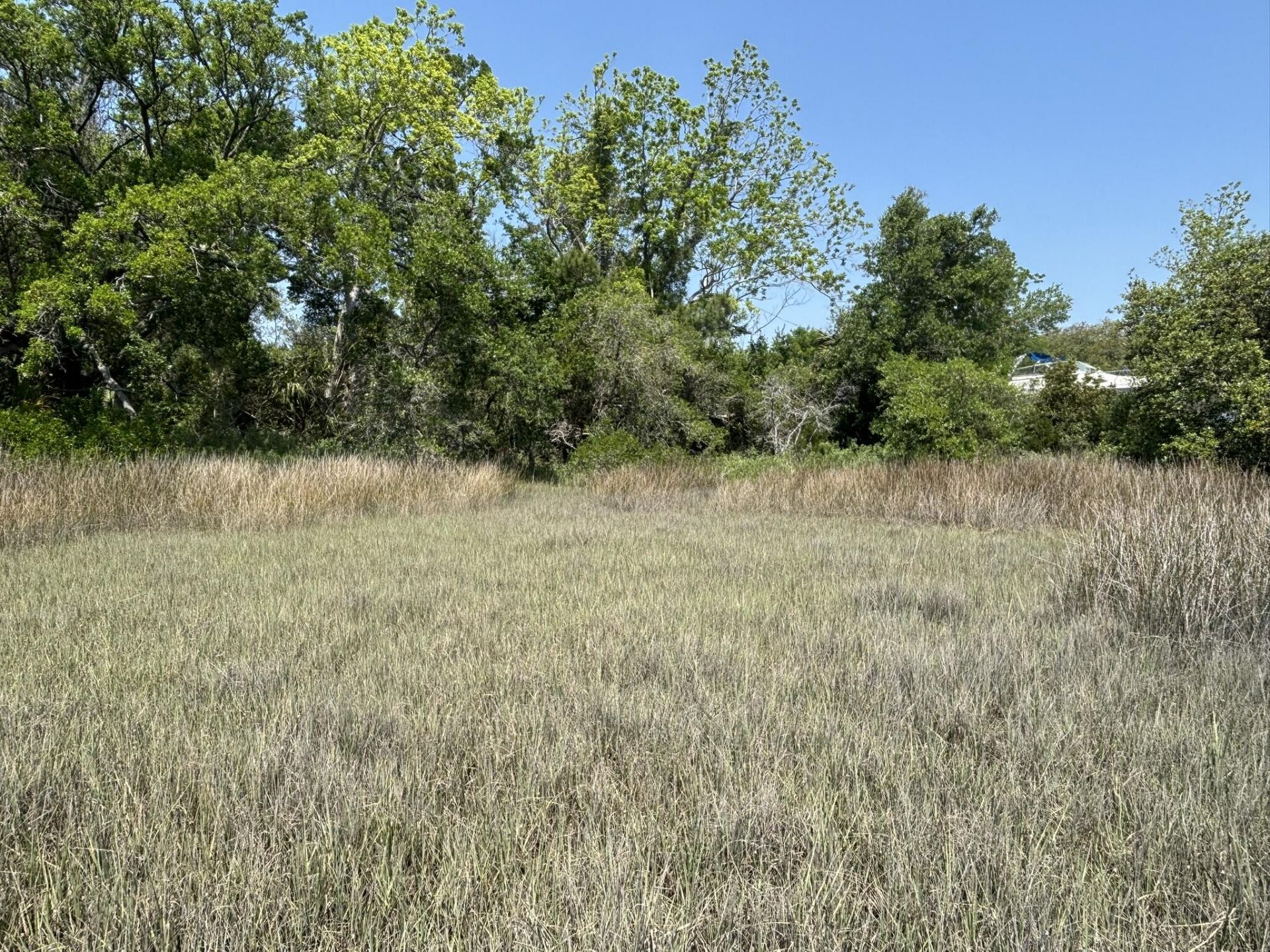 2035 Sol Legare Road Photo 25