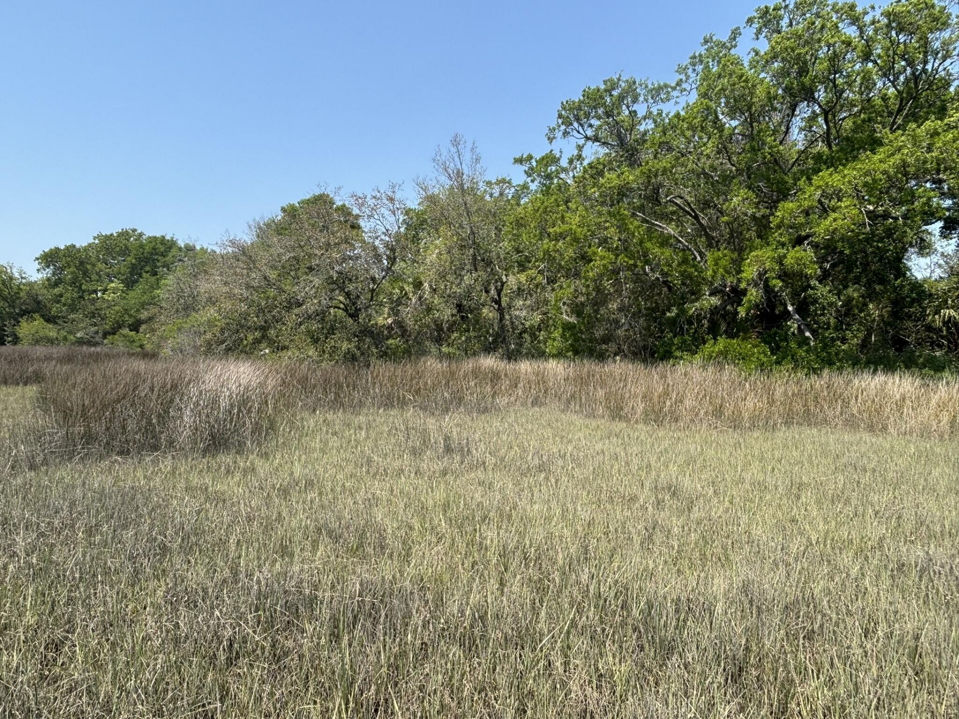 2035 Sol Legare Road Photo 26