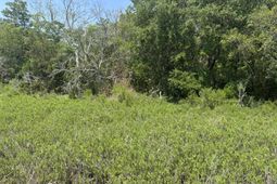2035 Sol Legare Road photo 4