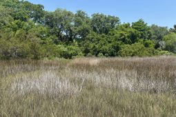 2035 Sol Legare Road photo 4