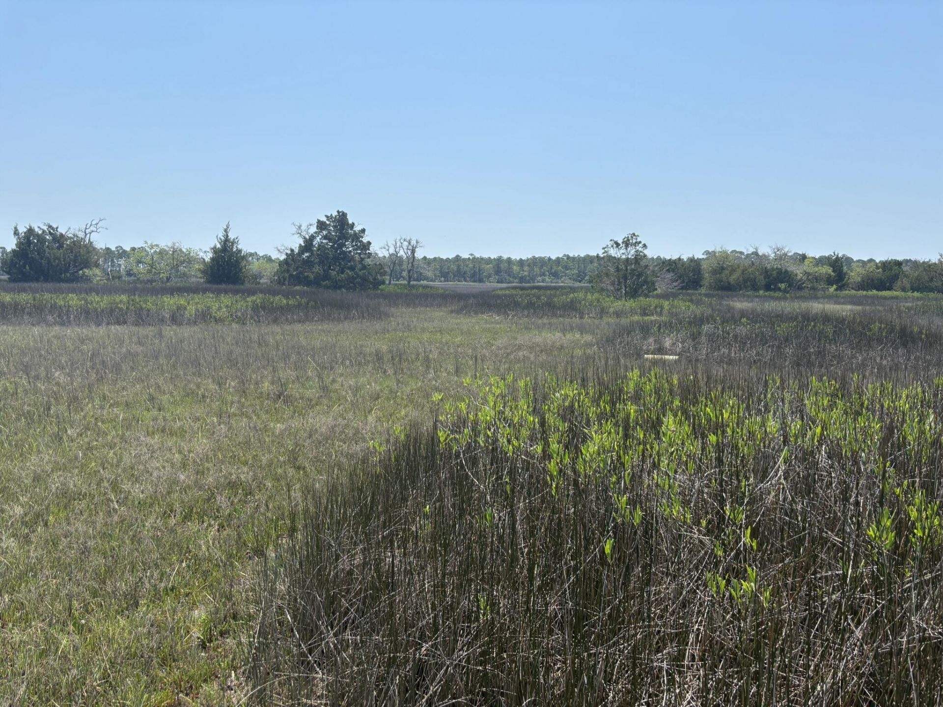 2035 Sol Legare Road Photo 5