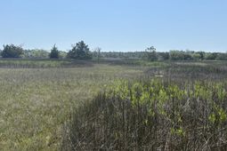 2035 Sol Legare Road photo 4