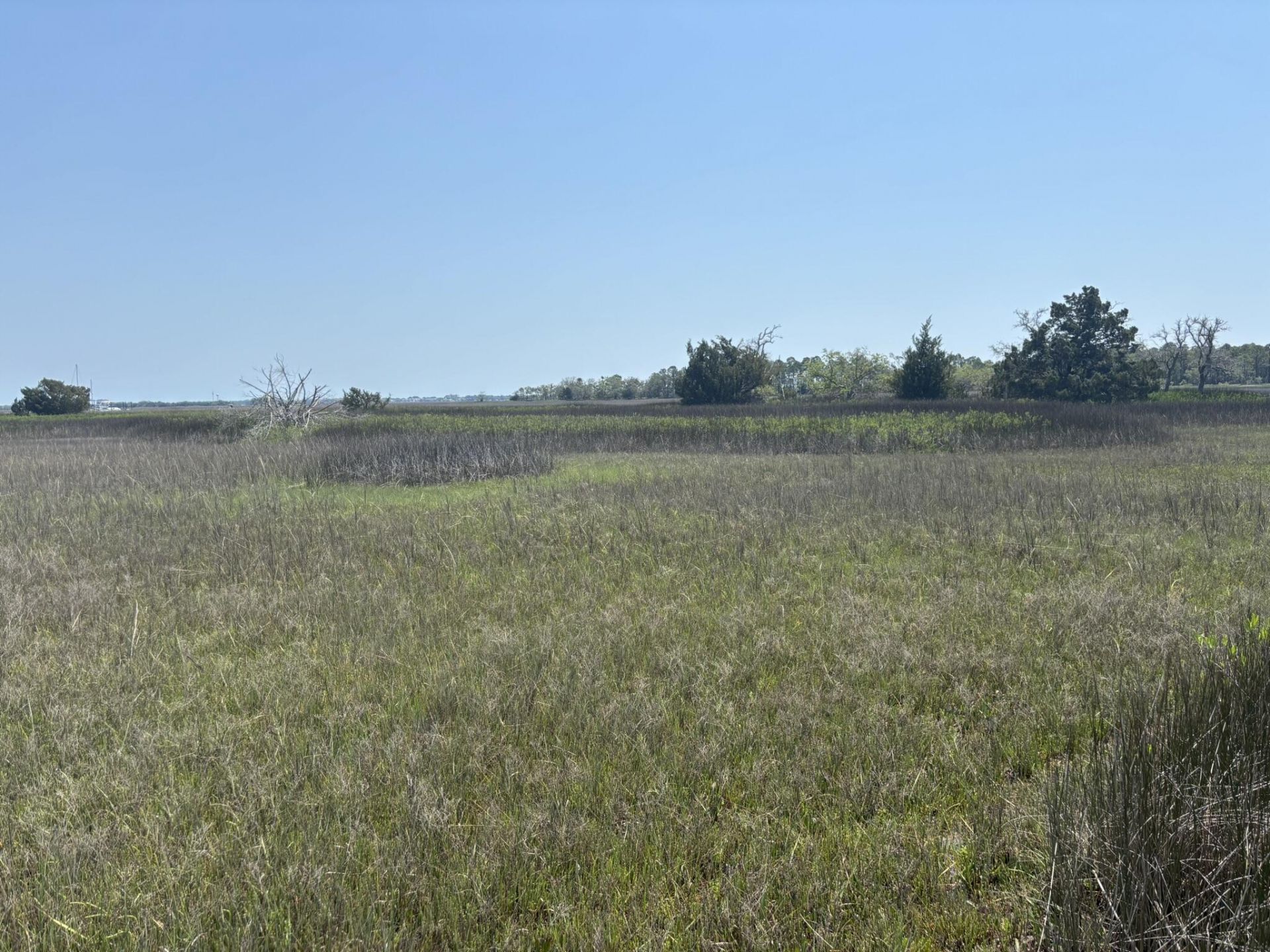 2035 Sol Legare Road Photo 6